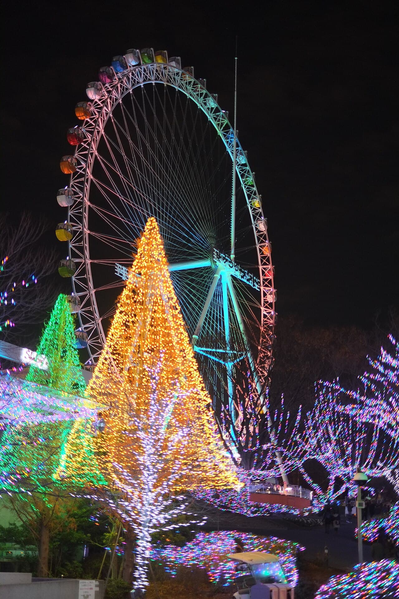 The illuminated Ferris wheel at Yomiuriland (December 2012, the park's previous wheel)