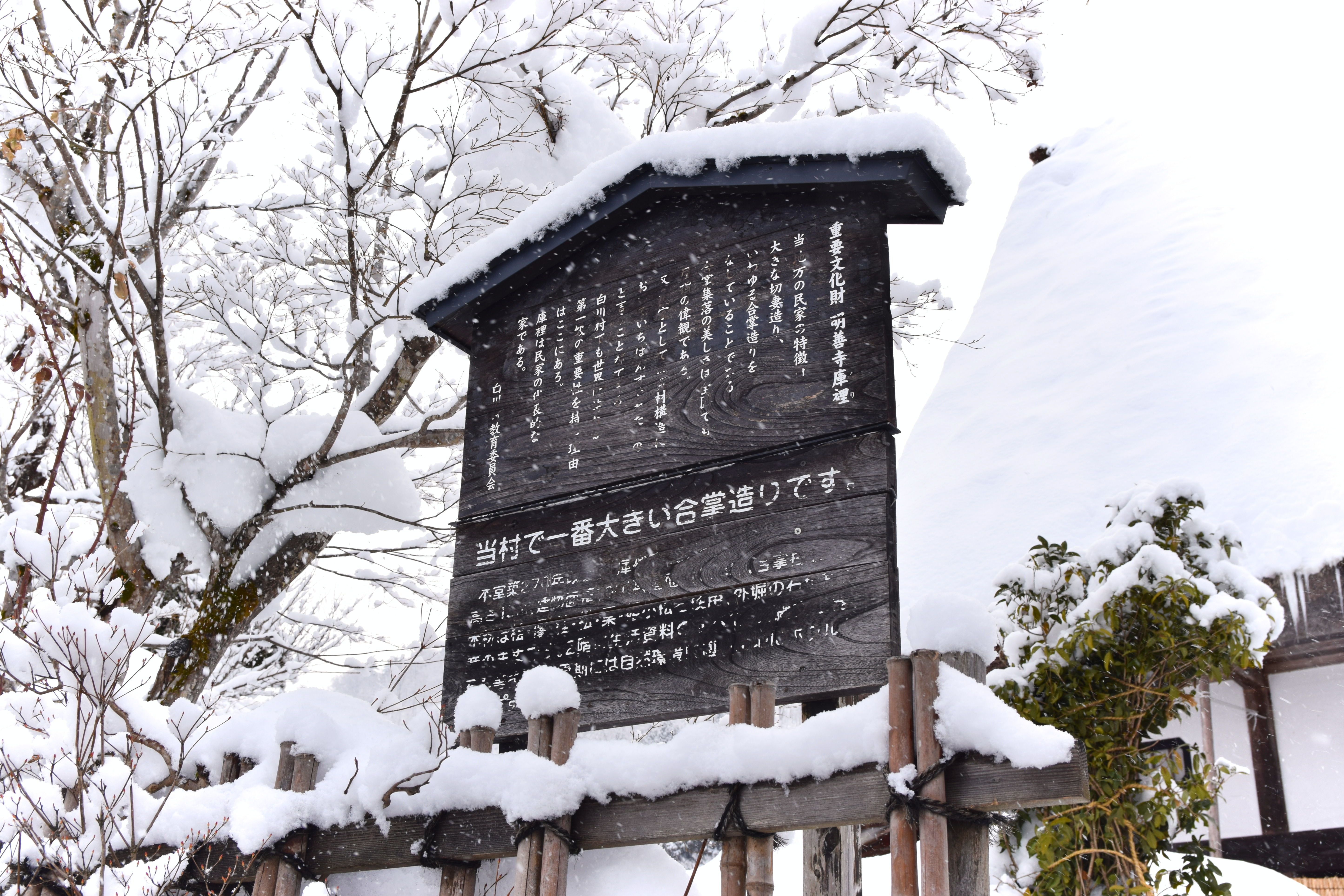 Snow-covered gassho-zukuri farmhouses in Shirakawa-go, Gifu Prefecture