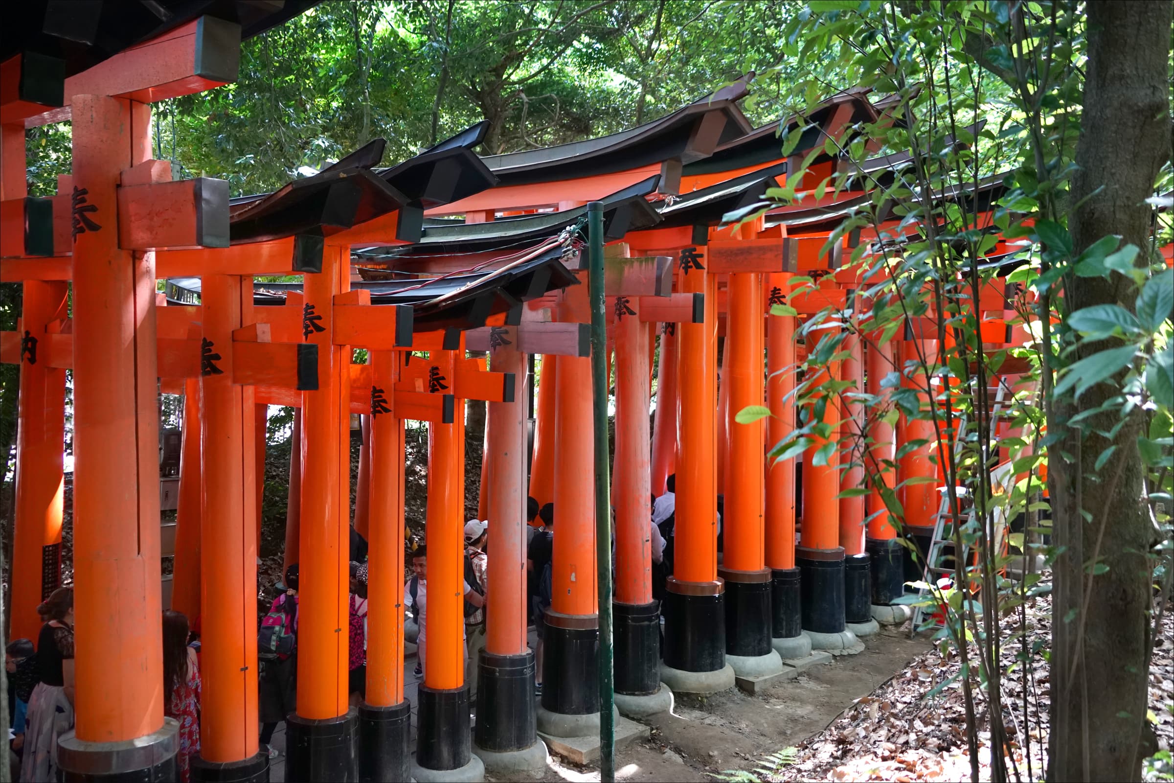 京都・伏見稲荷大社の朱色の千本鳥居