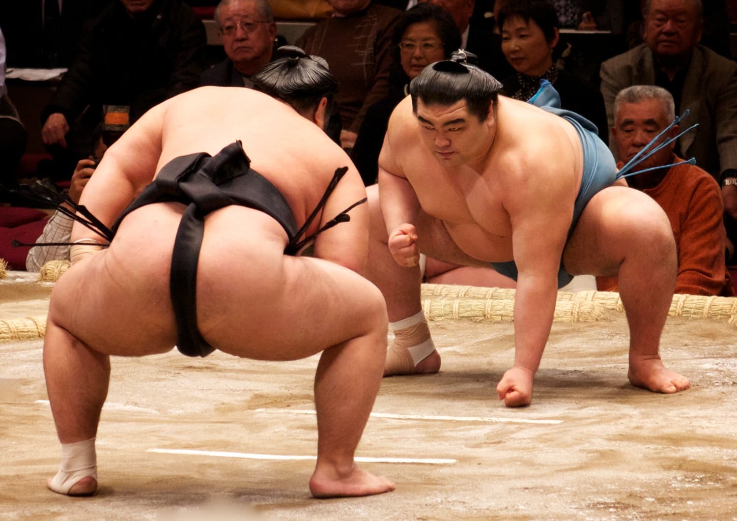 大相撲 九州場所(福岡)
