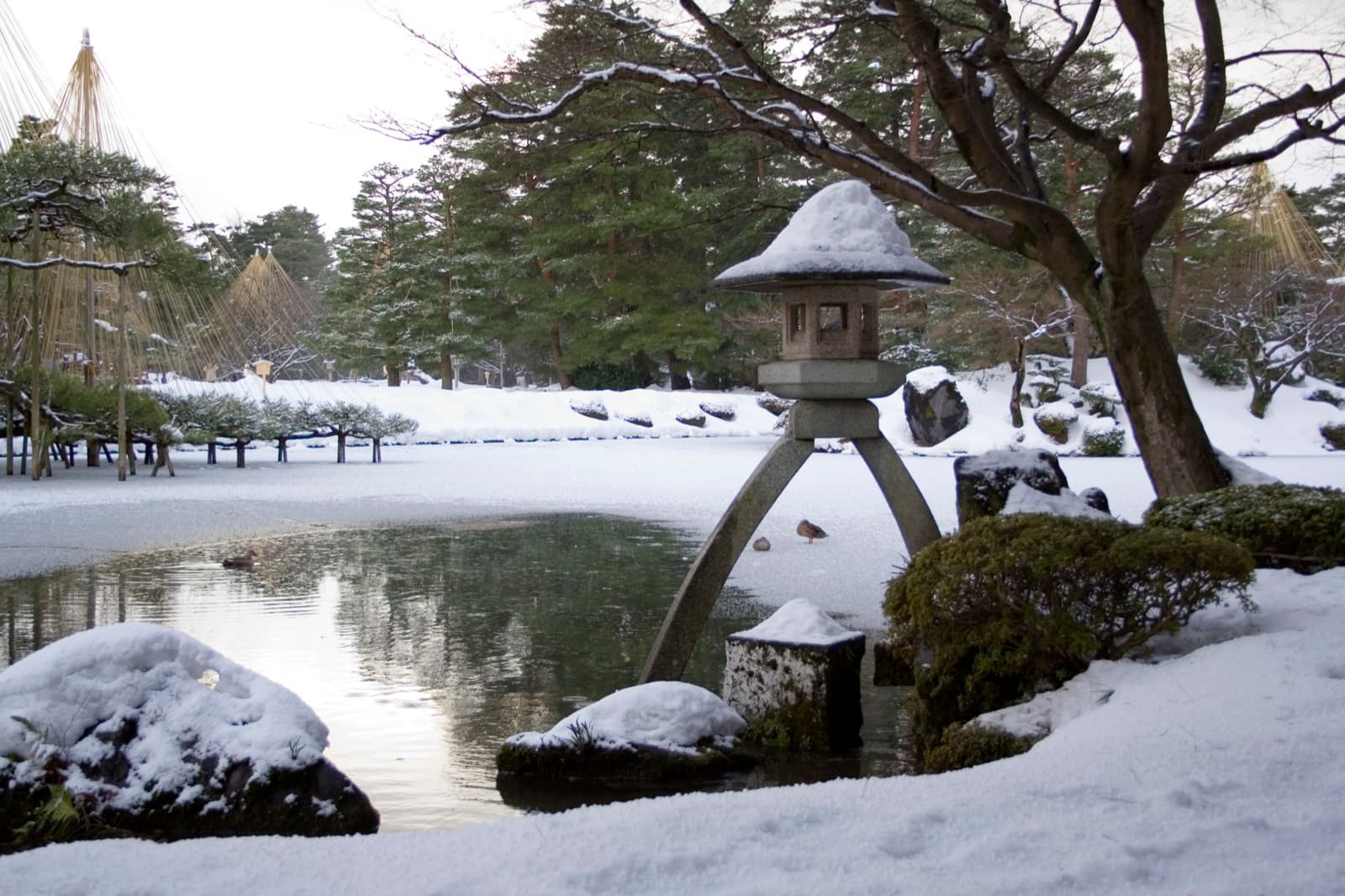金沢・兼六園の石灯籠と雪吊りの松