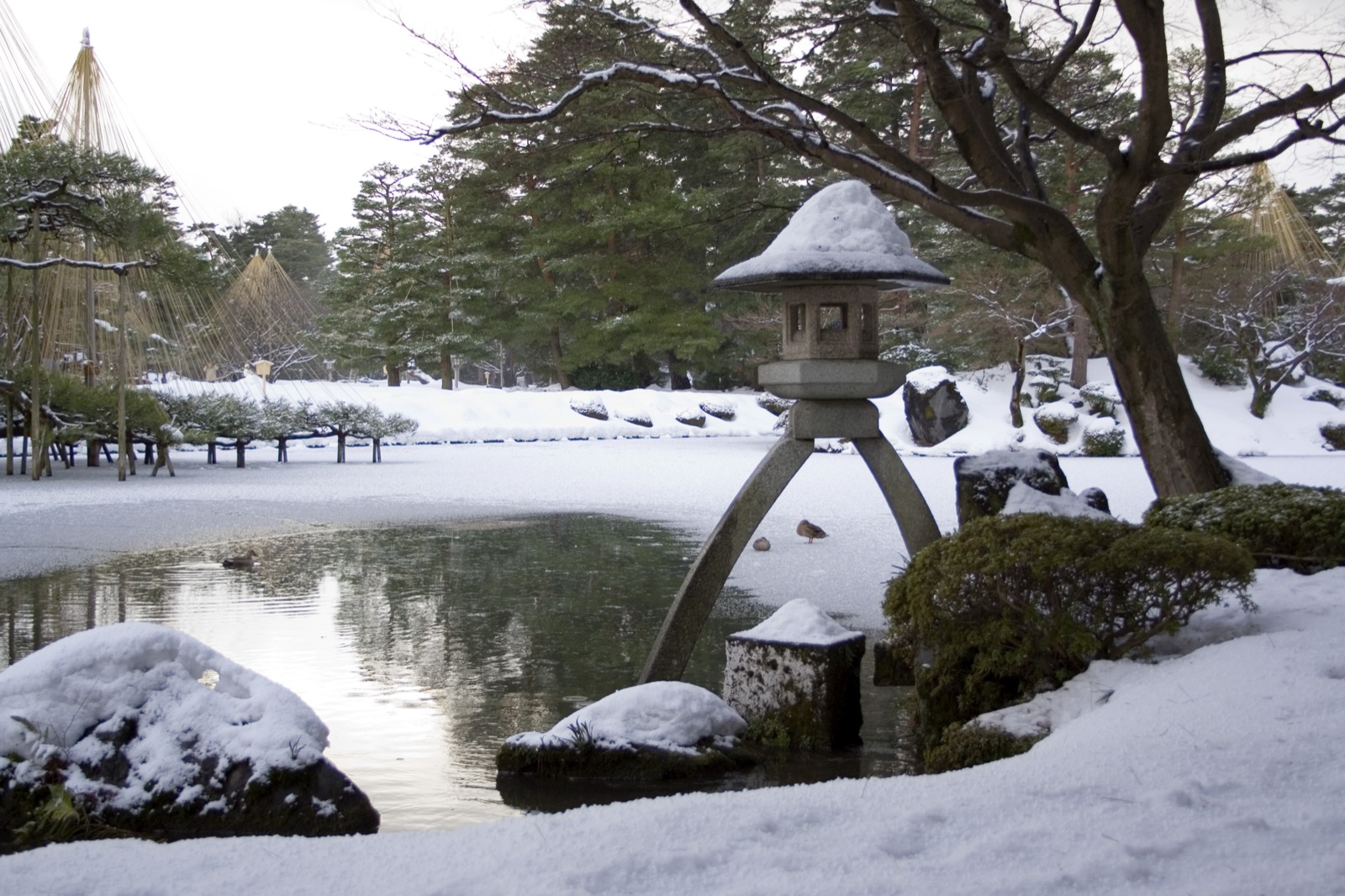 金沢・兼六園の石灯籠と雪吊りの松