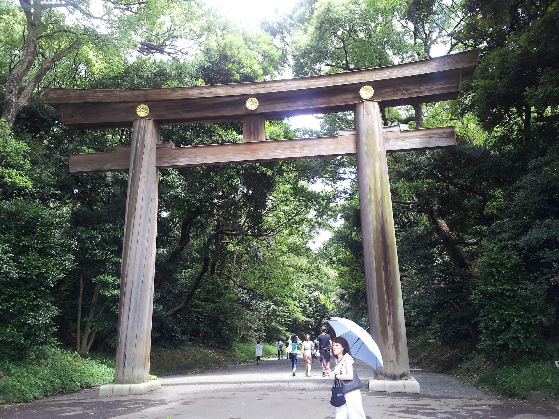 Meiji Jingu Hatsumode — Japan's Most-Visited New Year Shrine