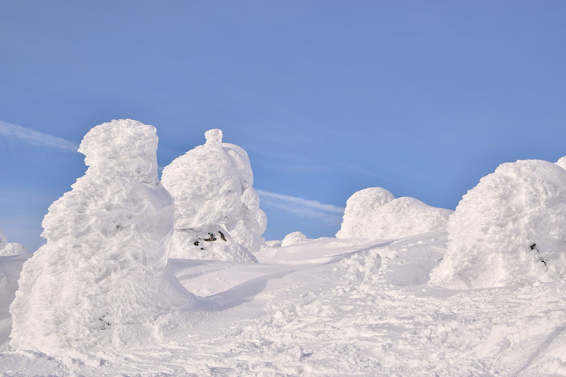 Zao Snow Monsters (Juhyo) Light-Up